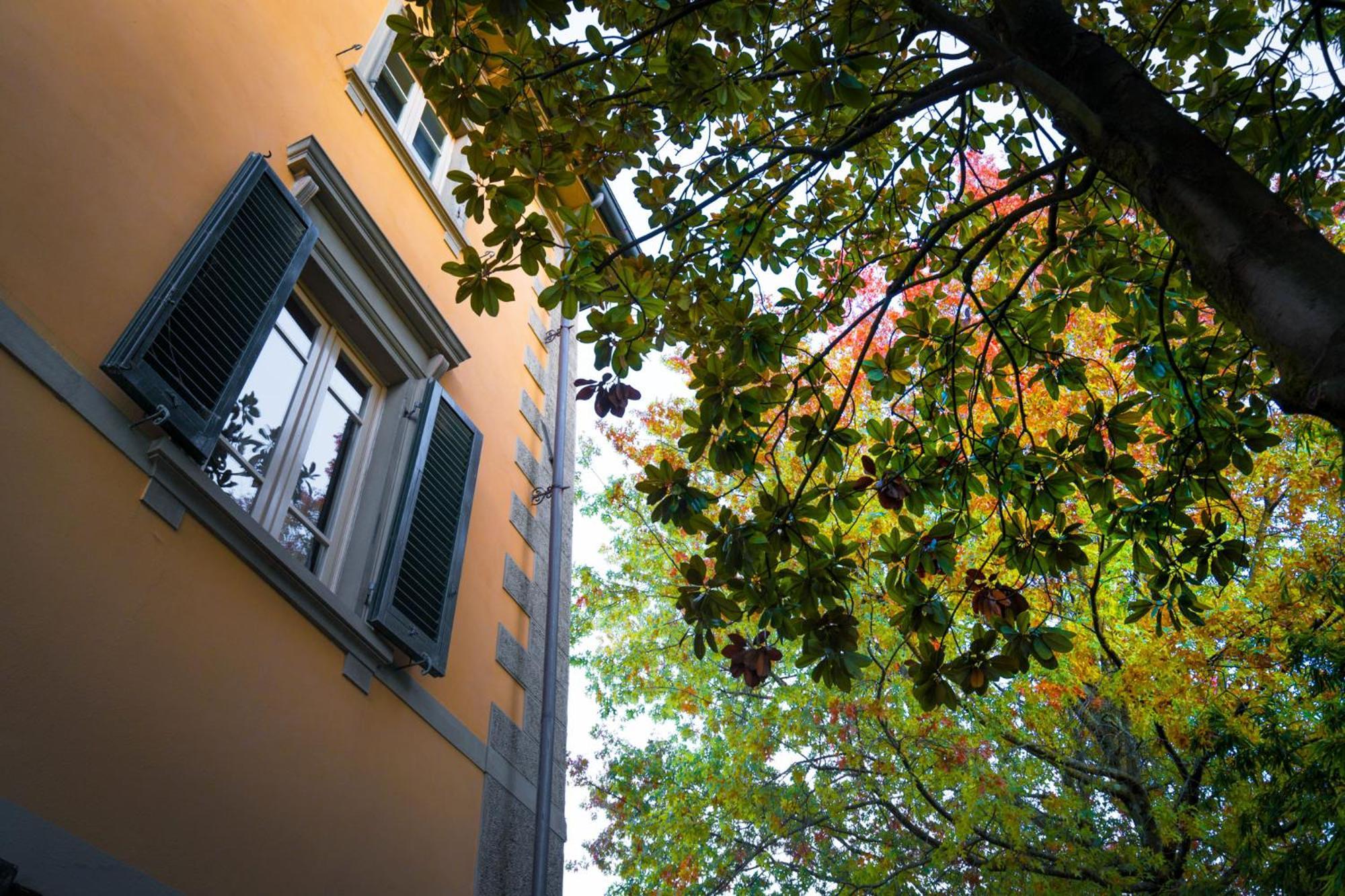 Villa Ines Charme Near Lucca Altopascio Exteriör bild